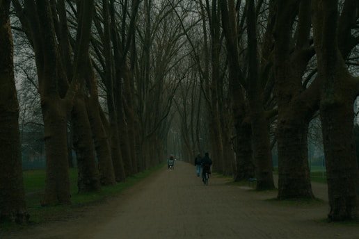 a couple of people riding bikes down a dirt road