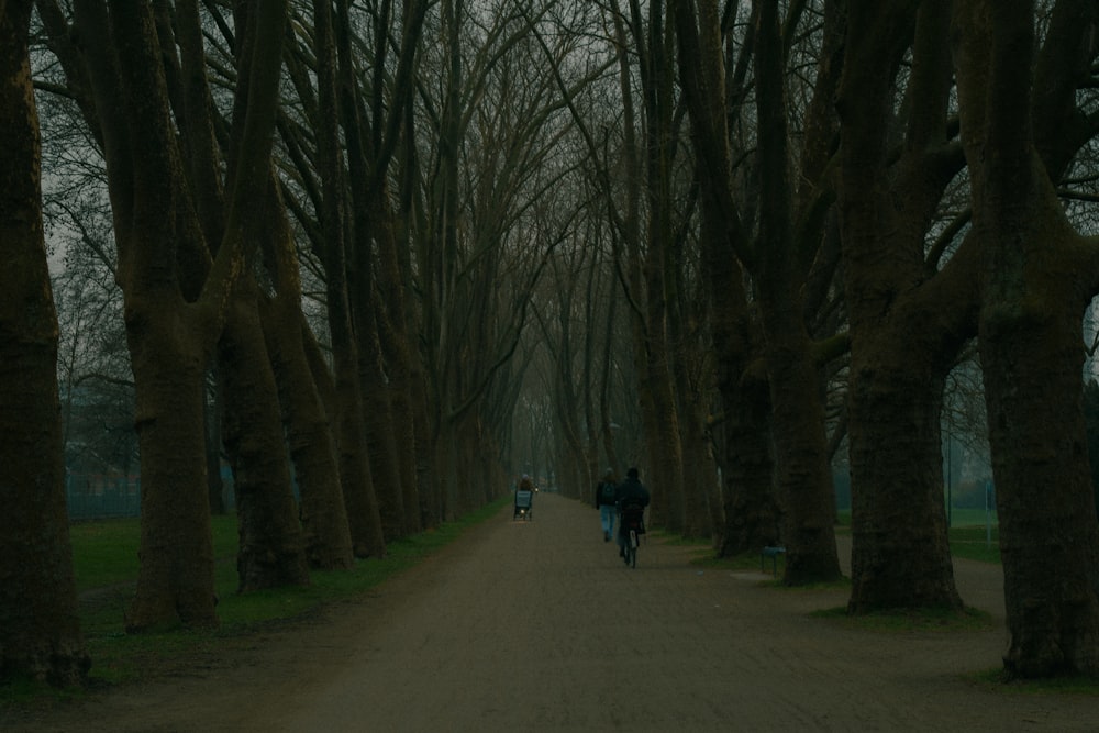 a couple of people riding bikes down a dirt road