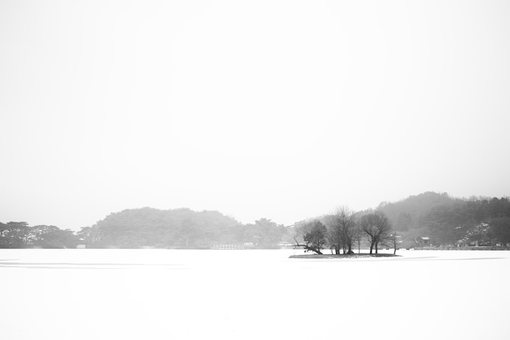 uma foto em preto e branco de um campo coberto de neve