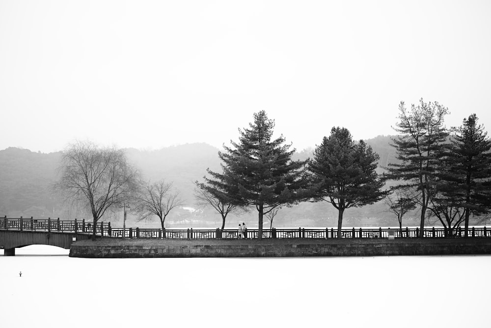 a black and white photo of trees and a bridge