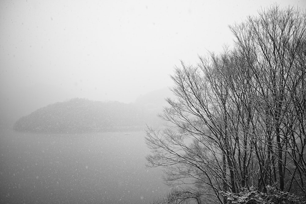 a black and white photo of a snowy day