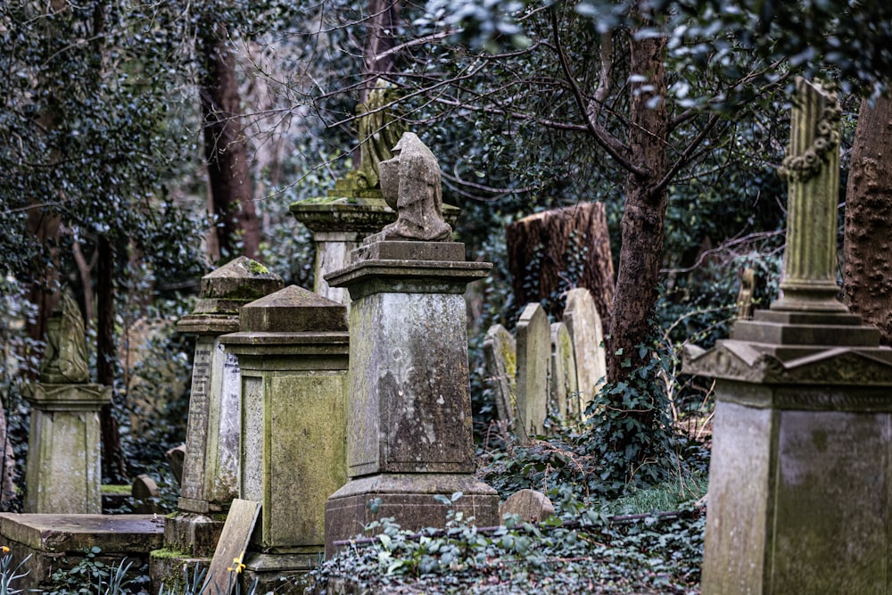 a cemetery with many headstones and trees in the background