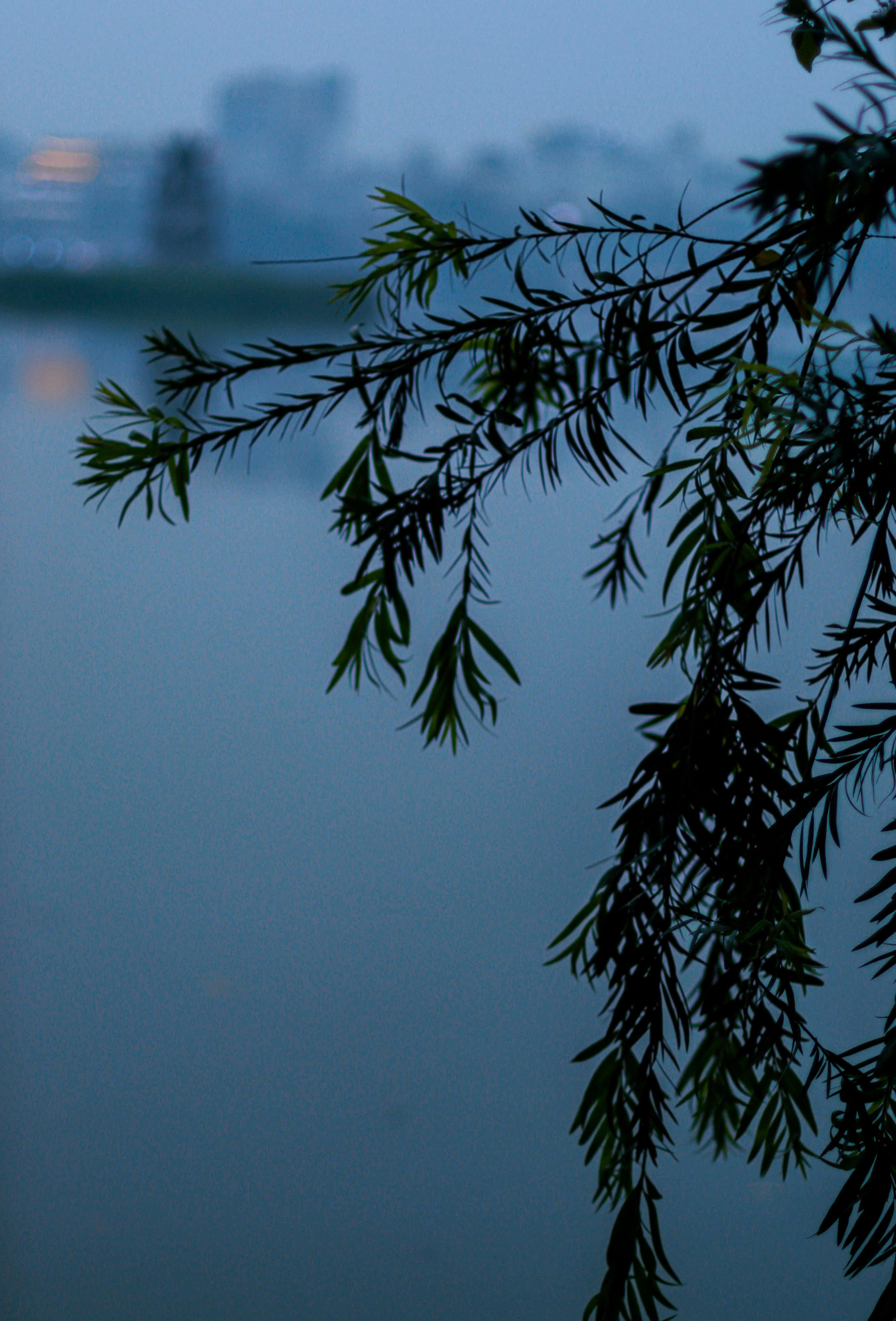 Photo by thomascleese