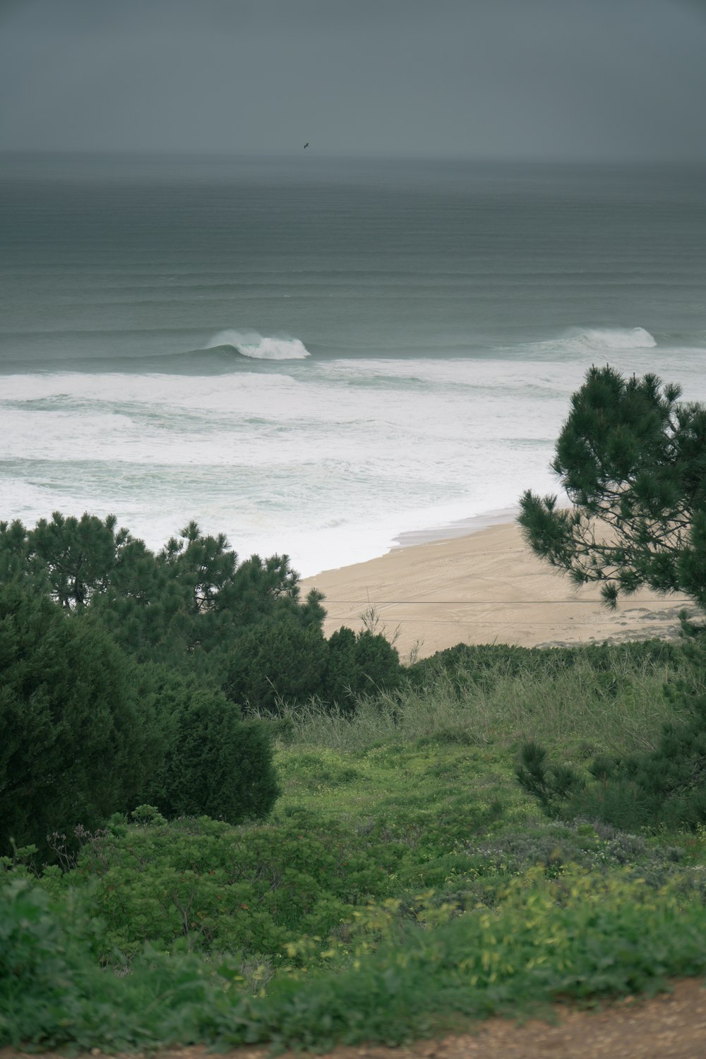 a view of the ocean from a hill