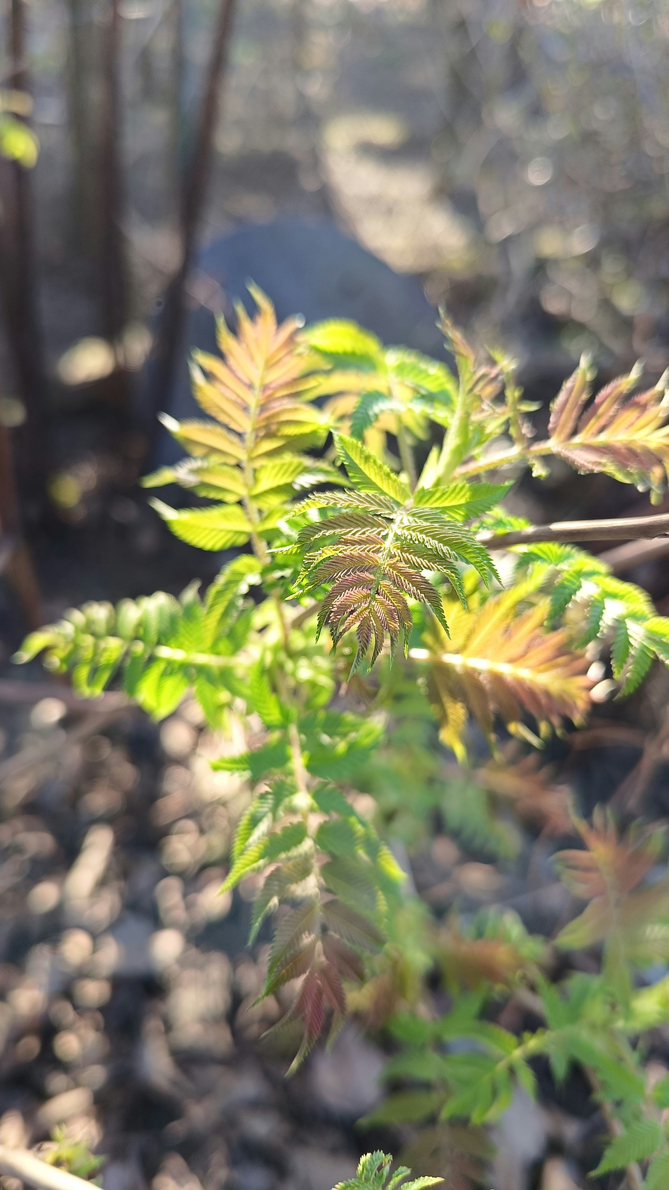 Photo by lena_mastej