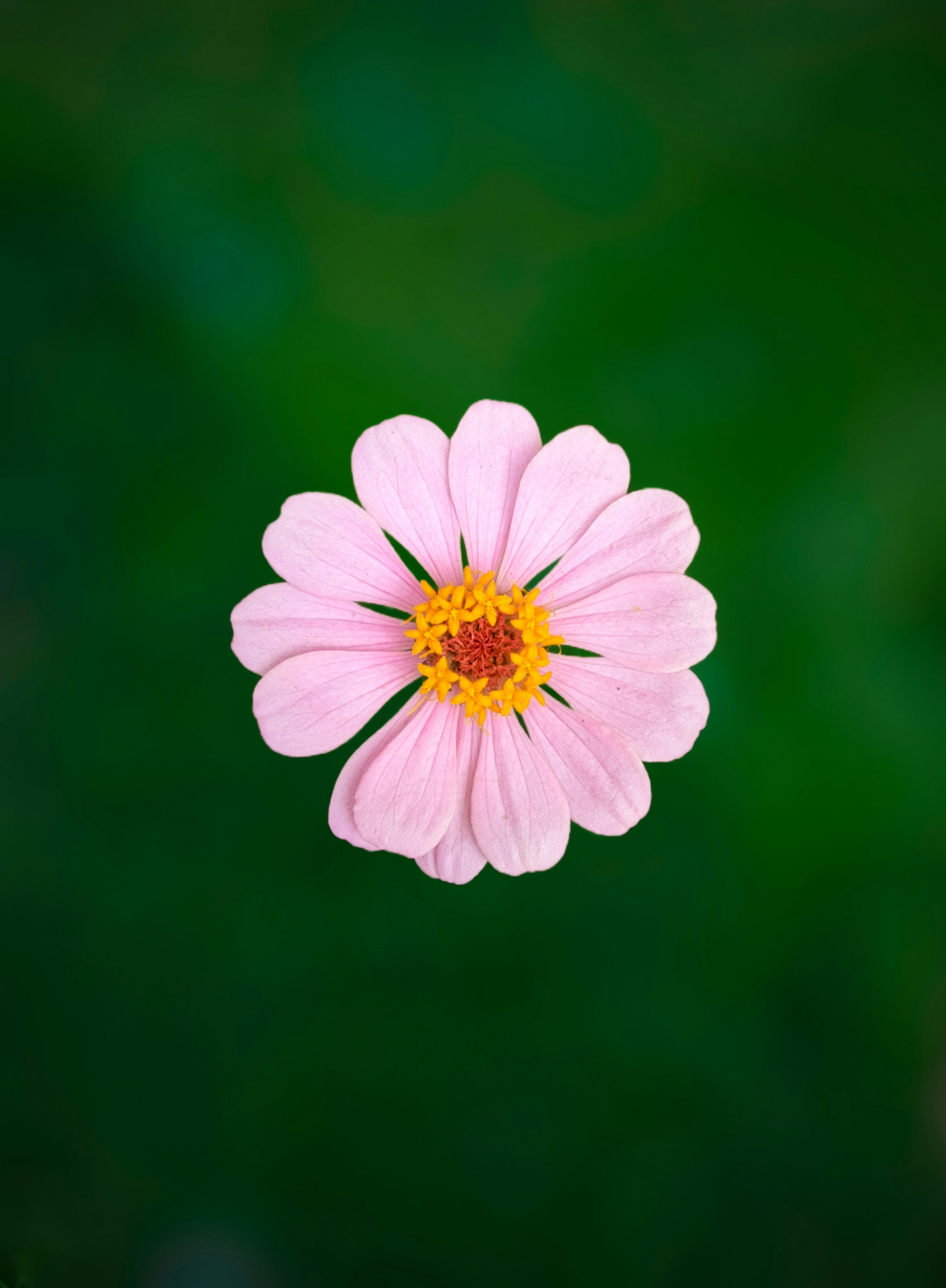 Photo by fayazahmedsunny