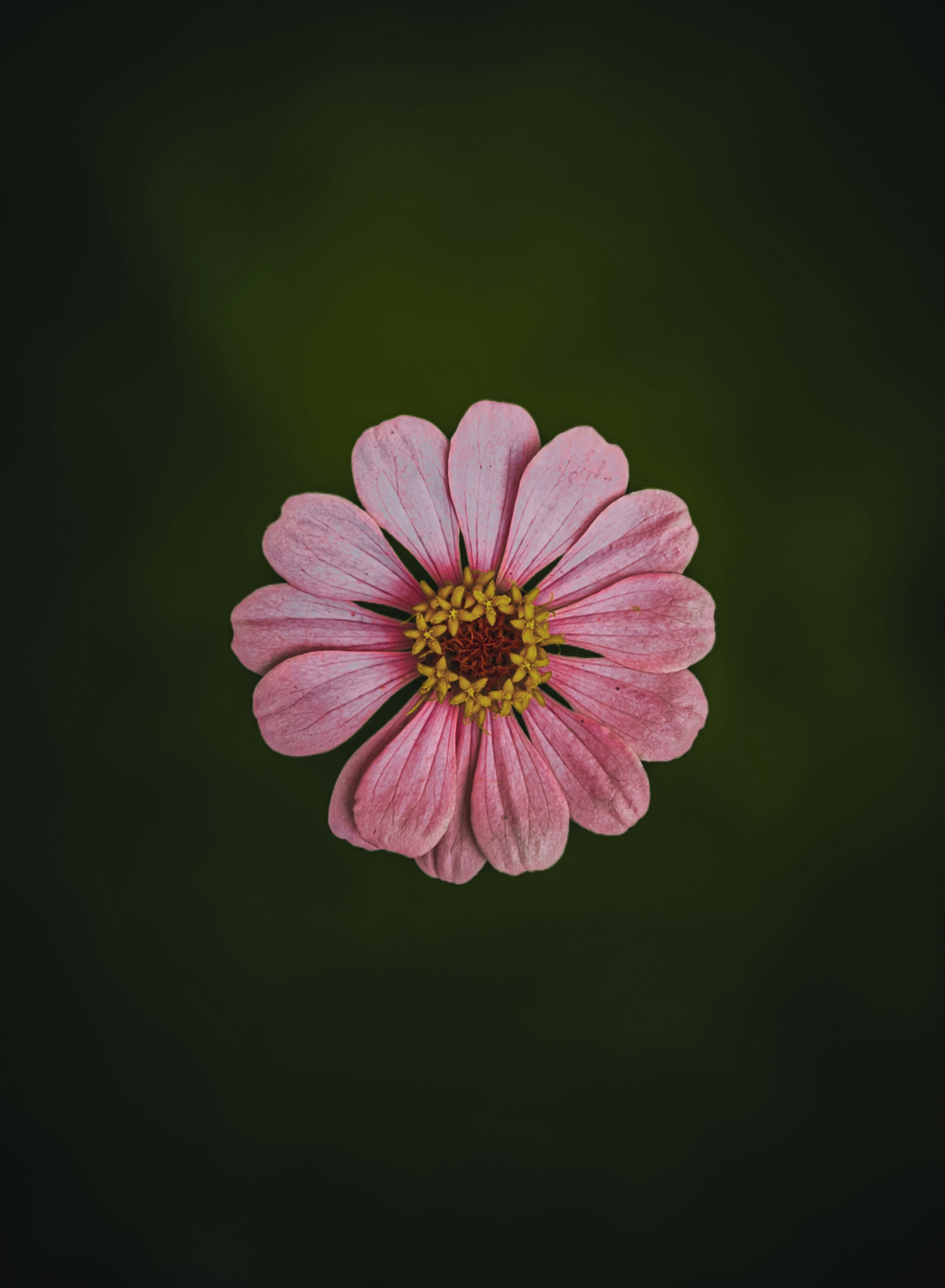 Photo by fayazahmedsunny