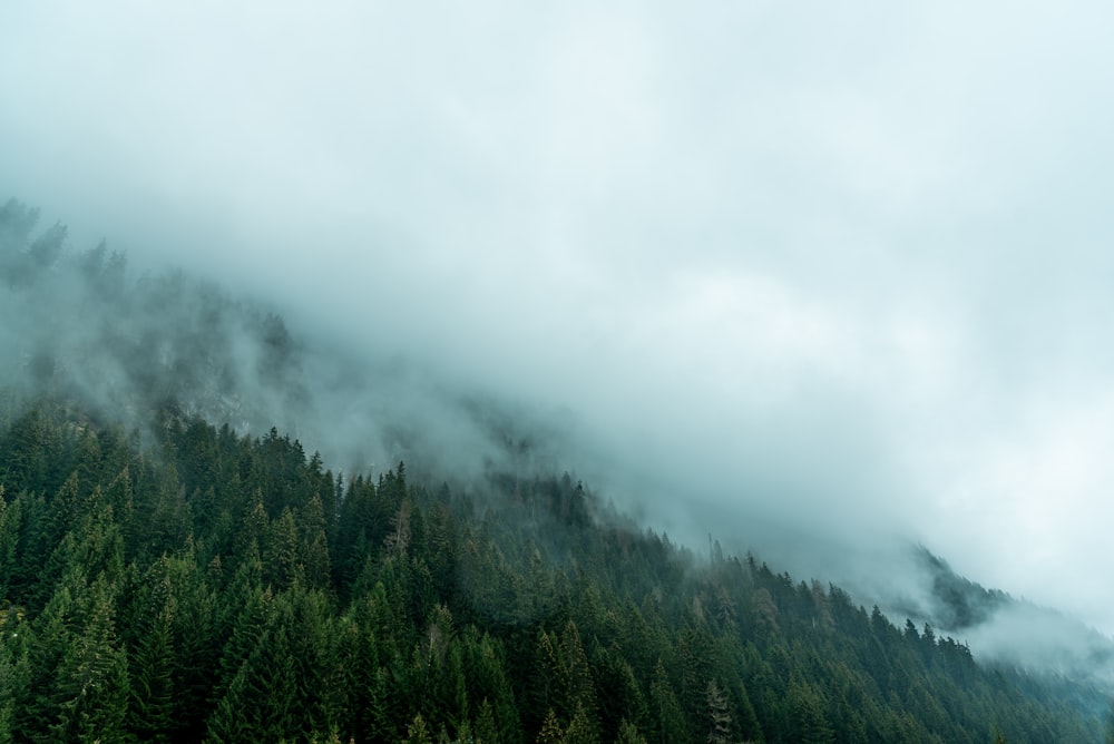 a mountain covered in clouds and trees