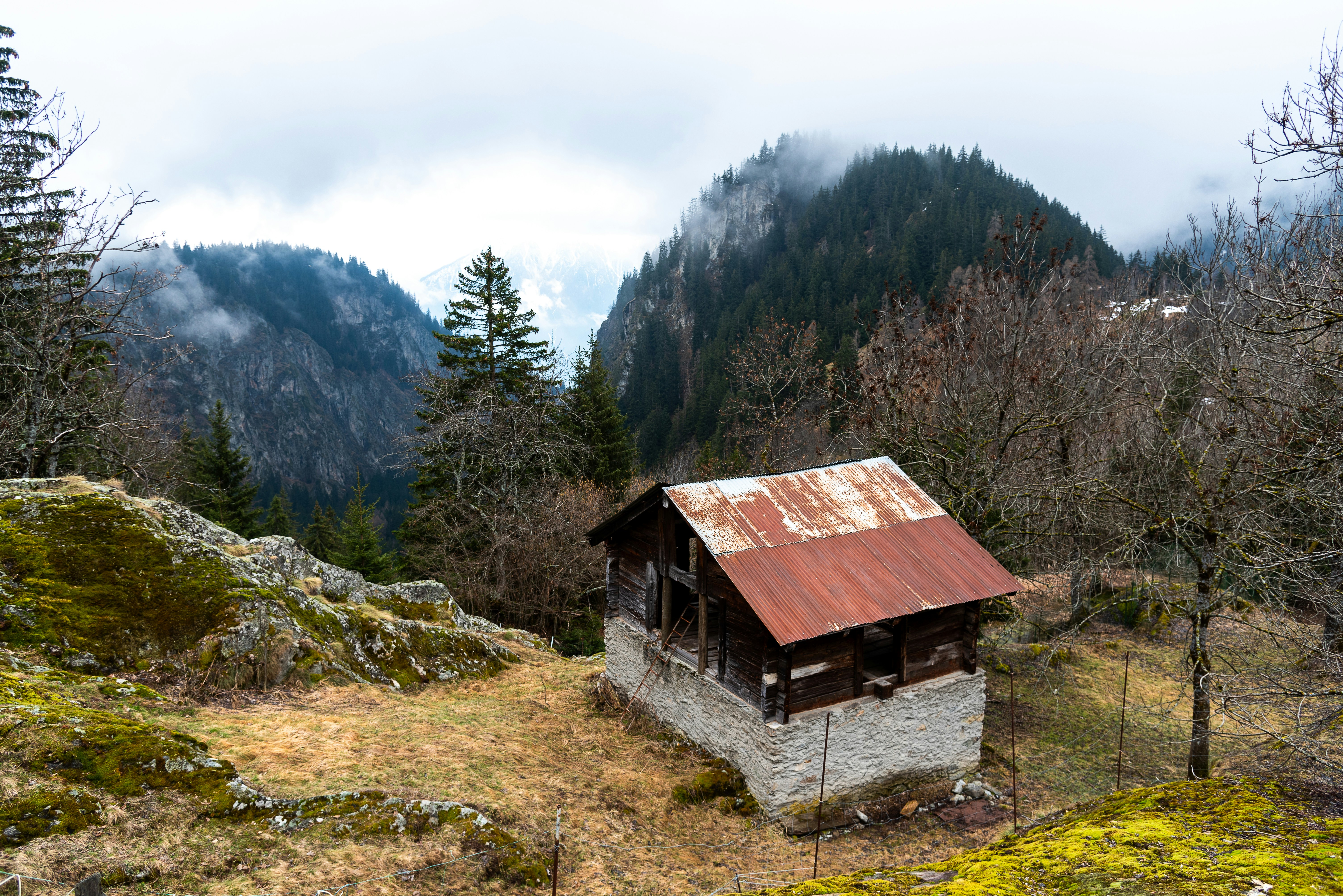 Photo by kasparallenbach