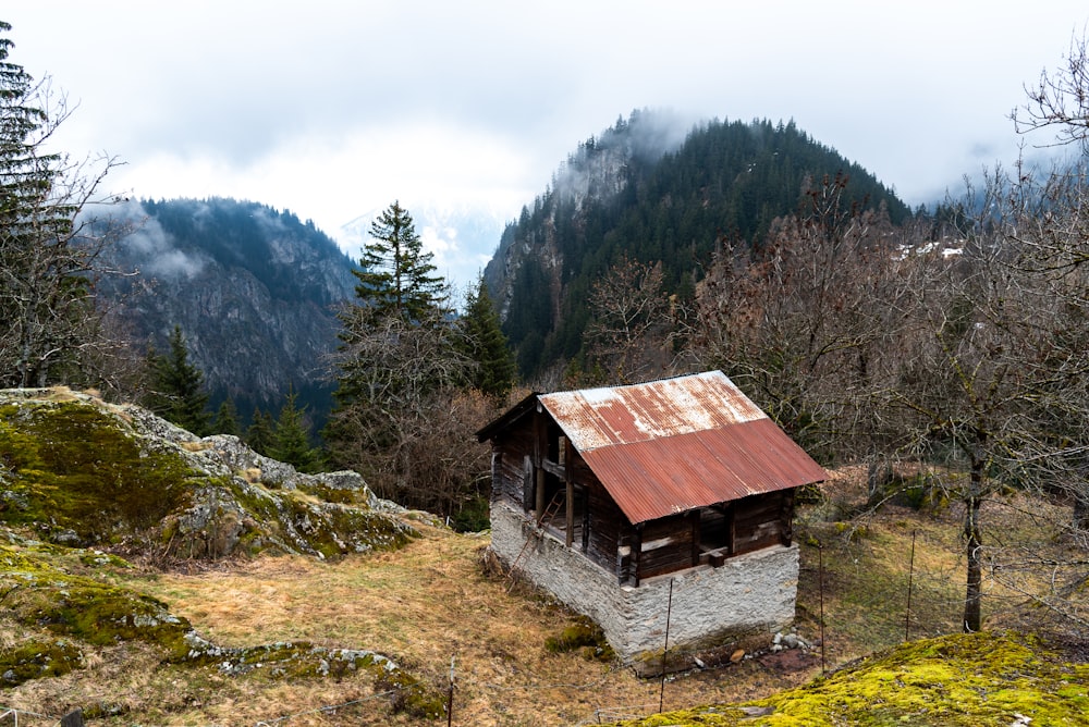 a small cabin in the middle of a forest