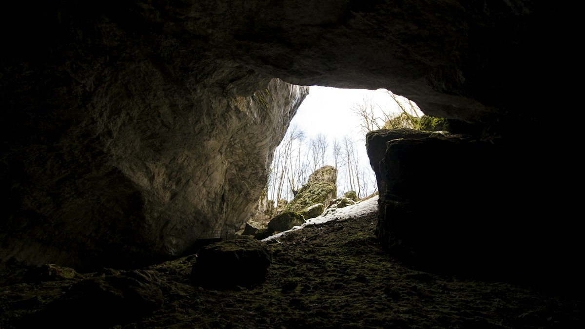 View out through a giant arched cave exit to the jungle beyond