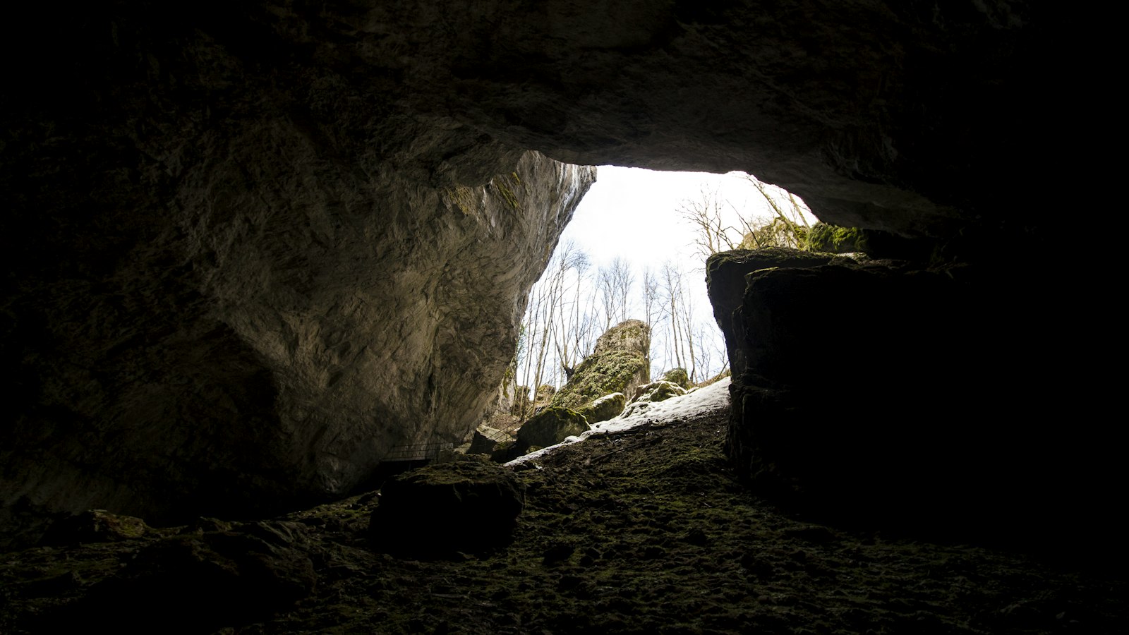Looking out through an enormous cave entrance to the green jungle beyond