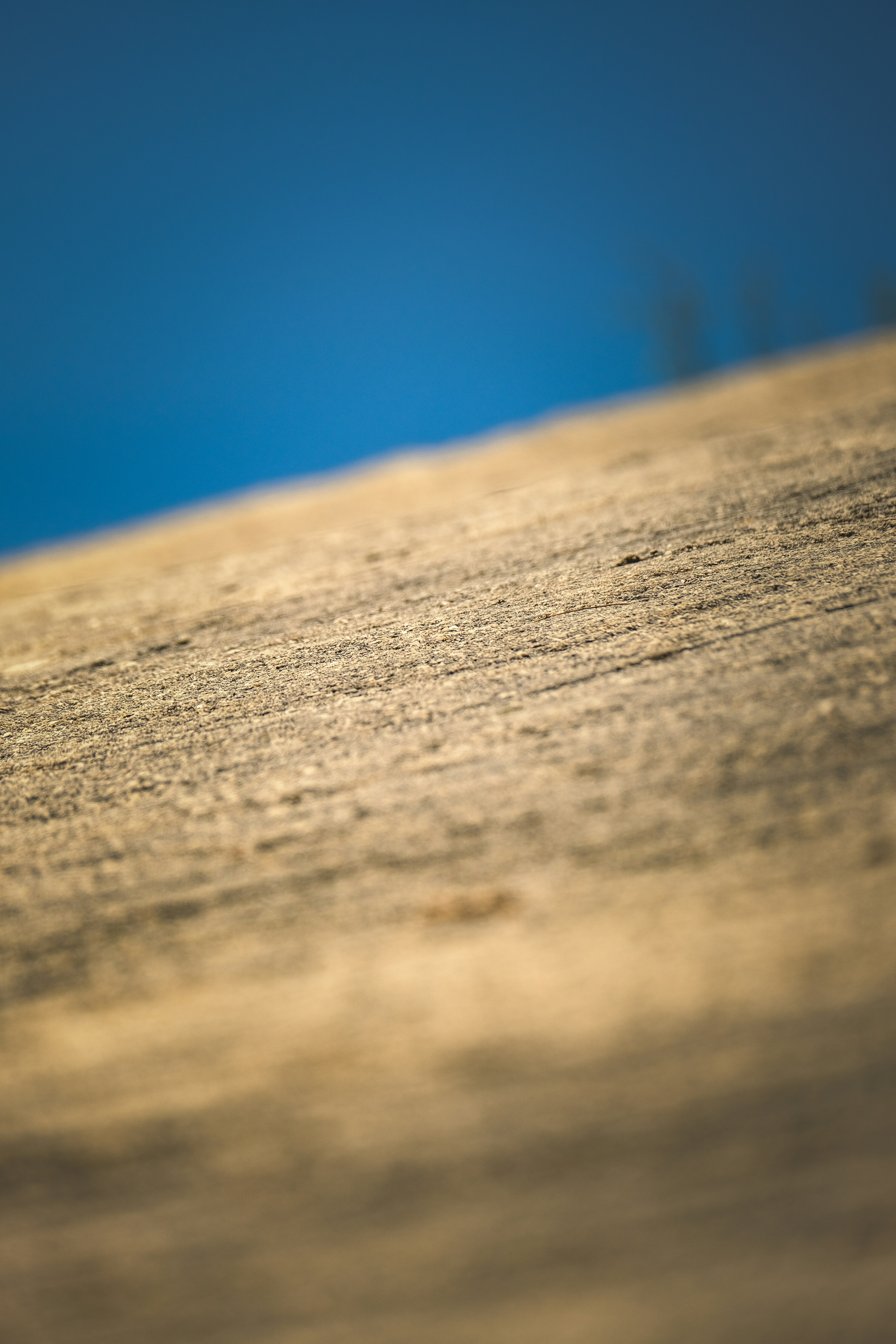 Photo by francesco_ungaro