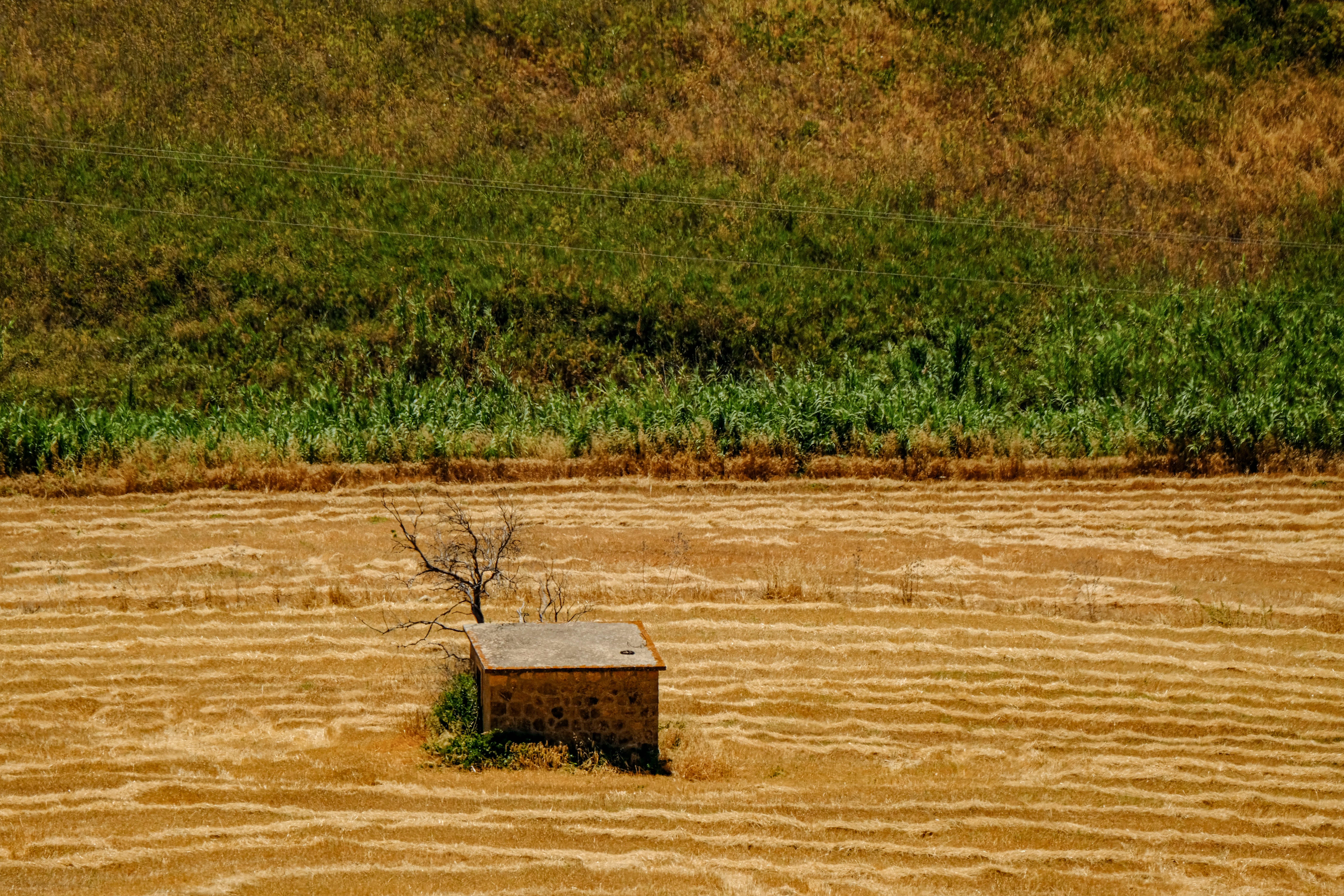 a small box sitting in the middle of a field