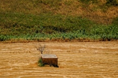 a small box sitting in the middle of a field