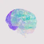 a close up of a plastic model of a human brain