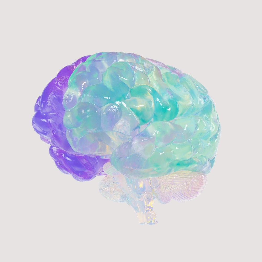 人間の脳のプラモデルのクローズアップ