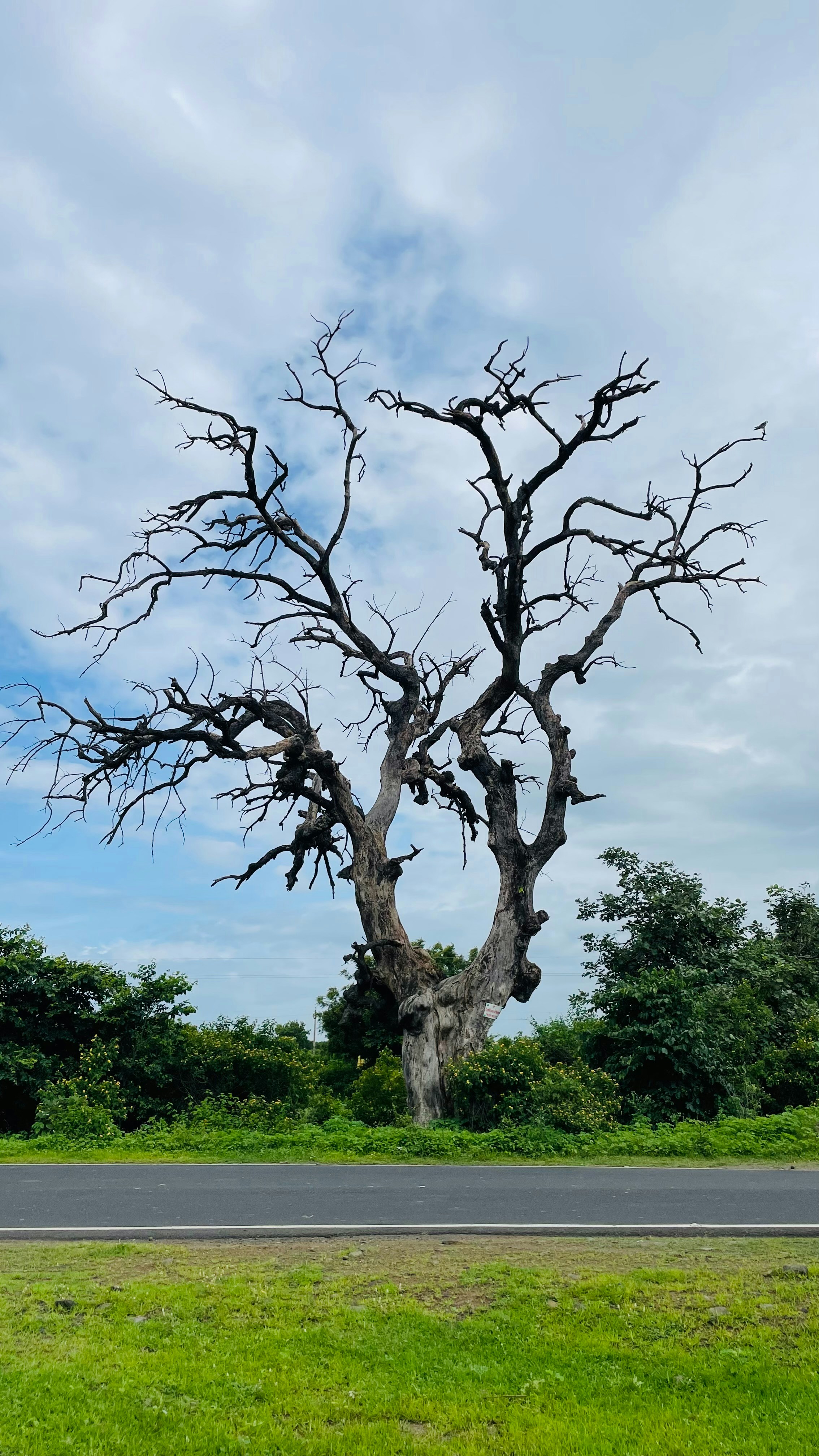 Photo by s_prajapati