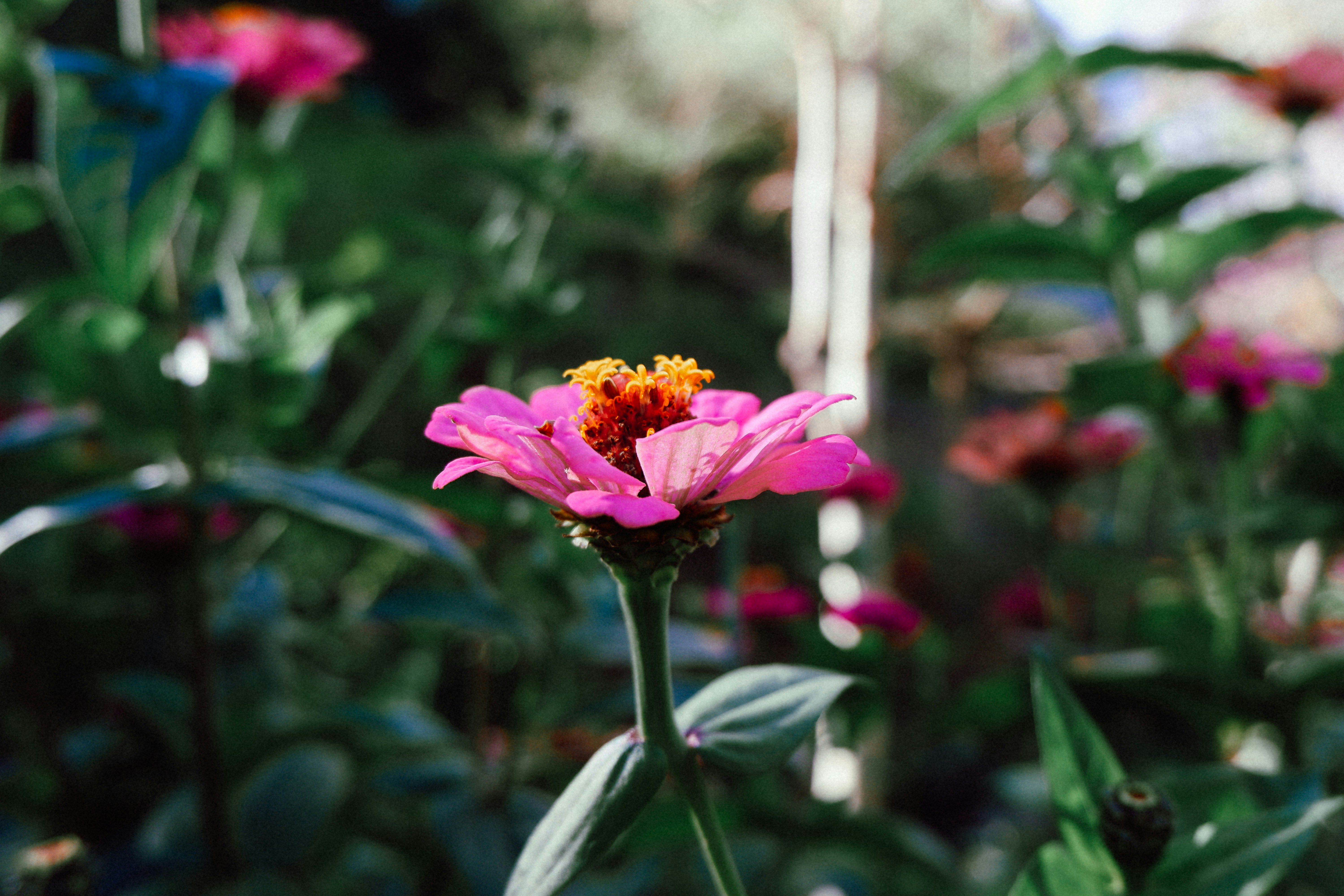 Photo by streetwindy