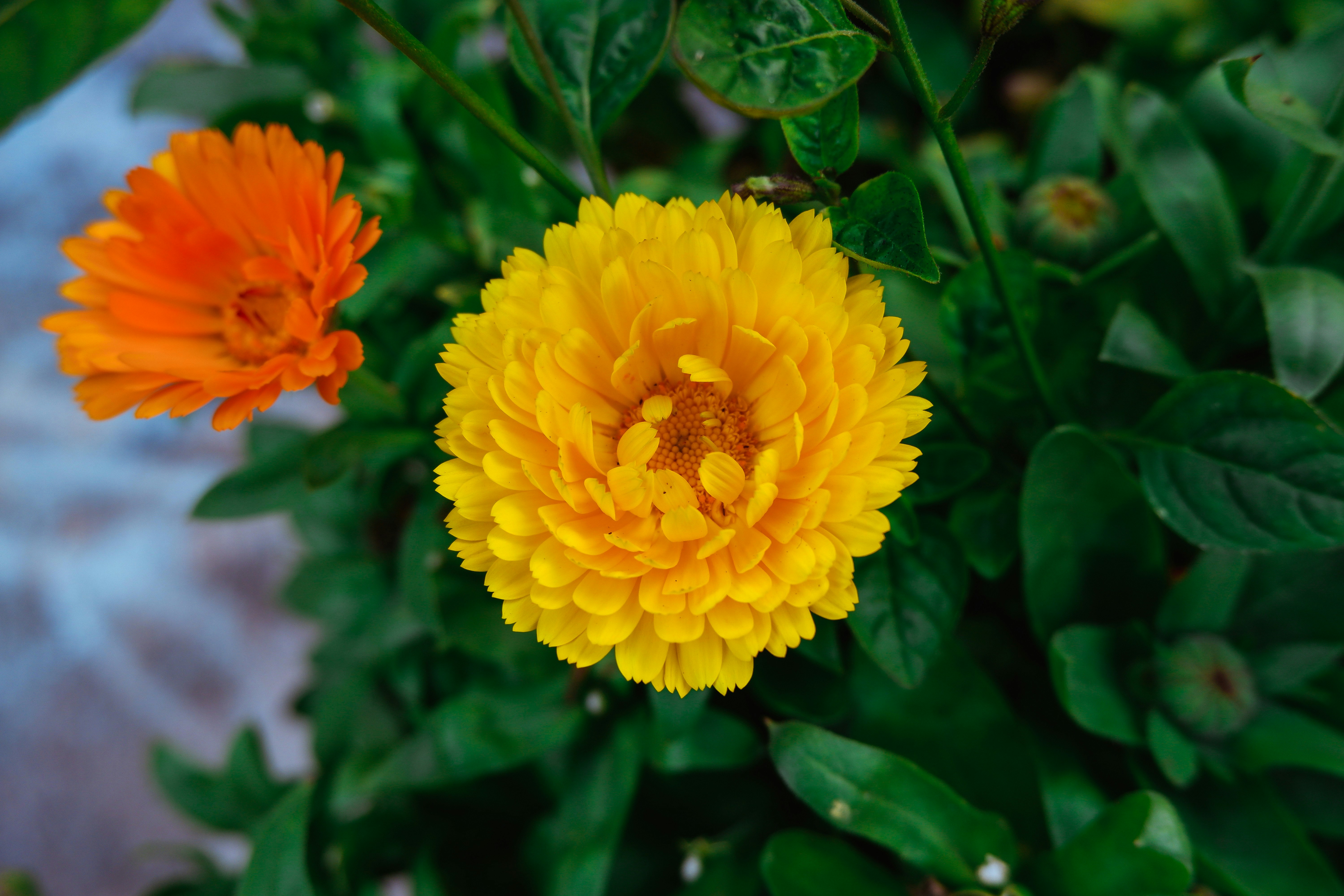 Photo by streetwindy