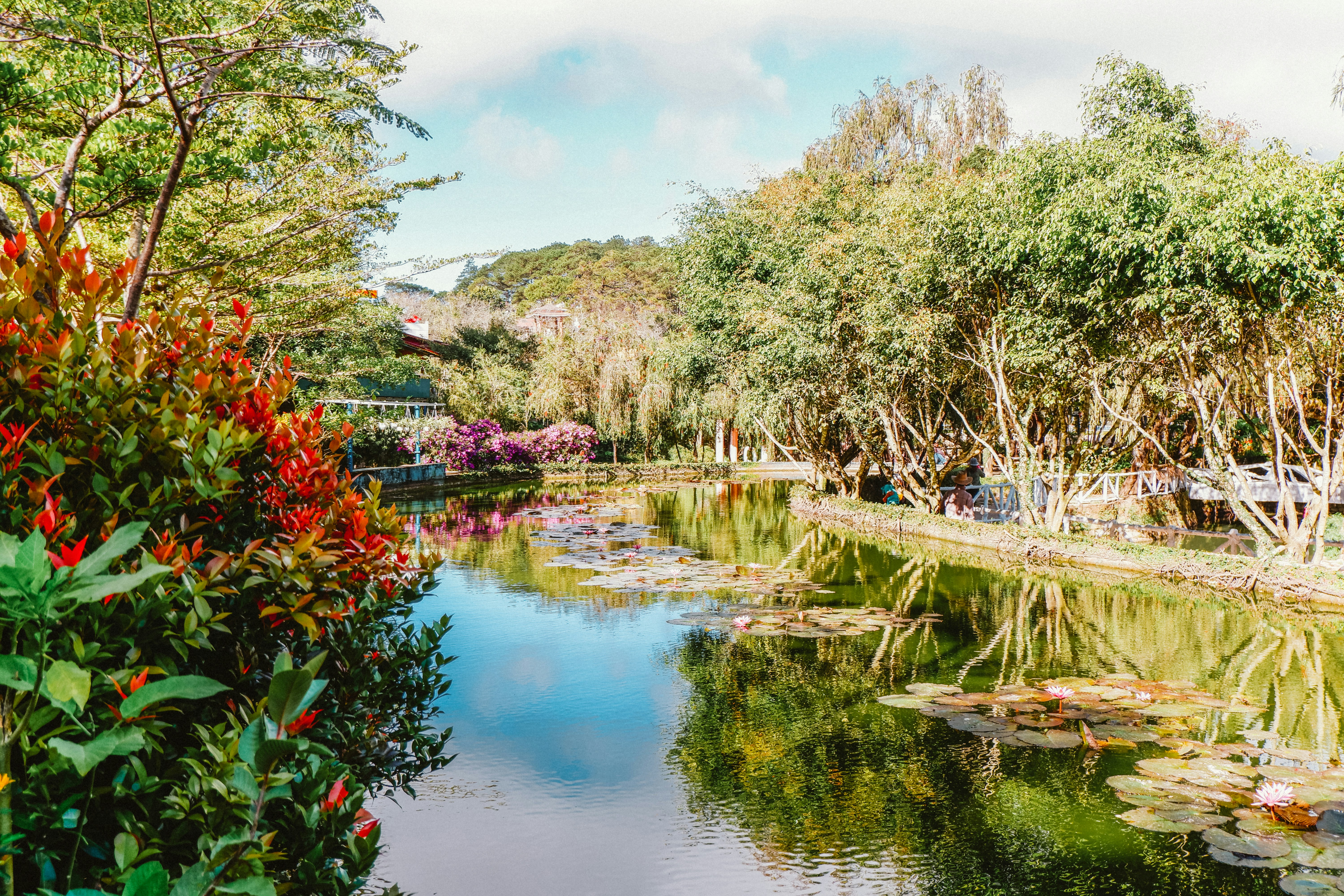 Photo by streetwindy