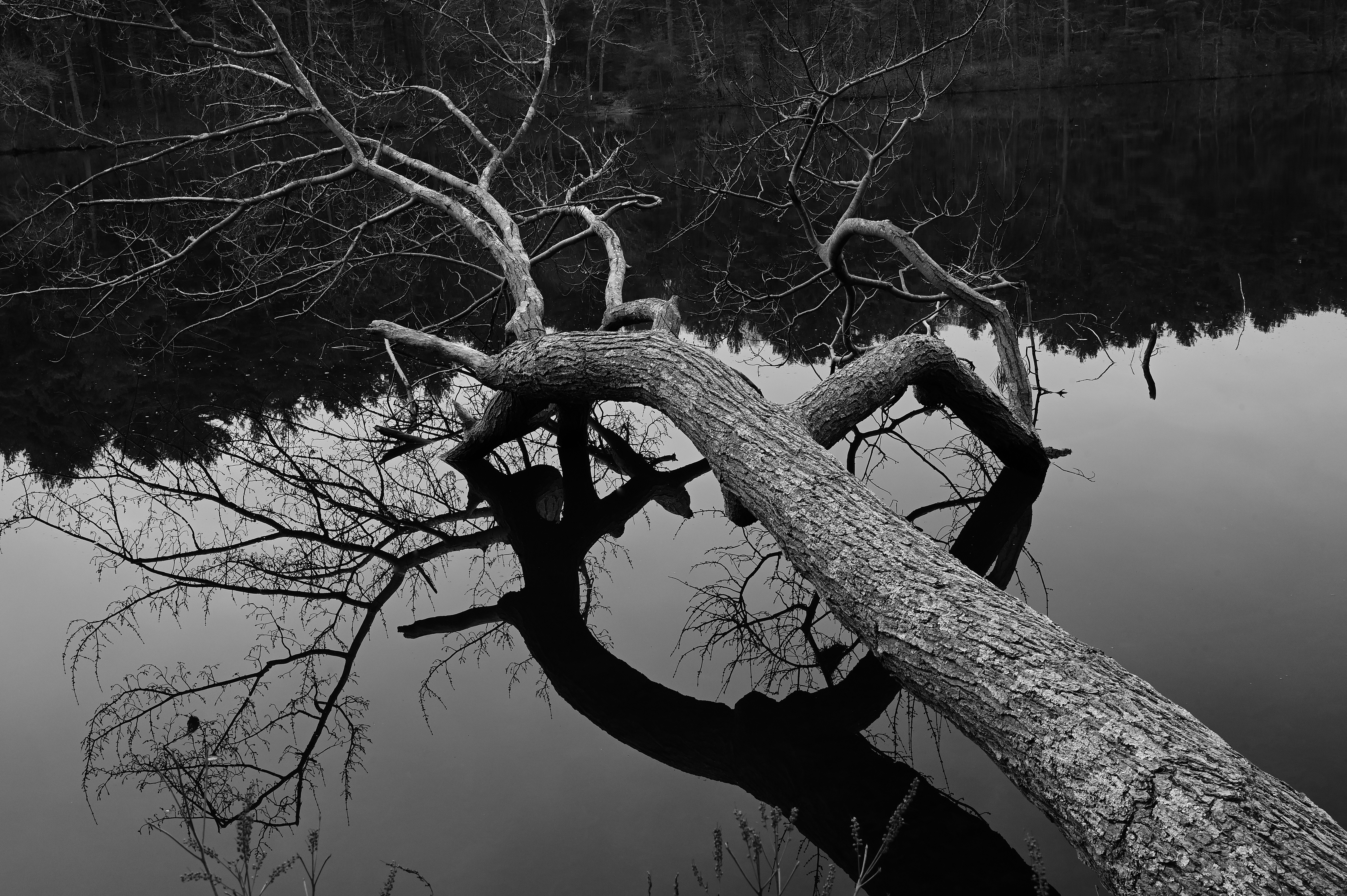 Photo by markminiutti