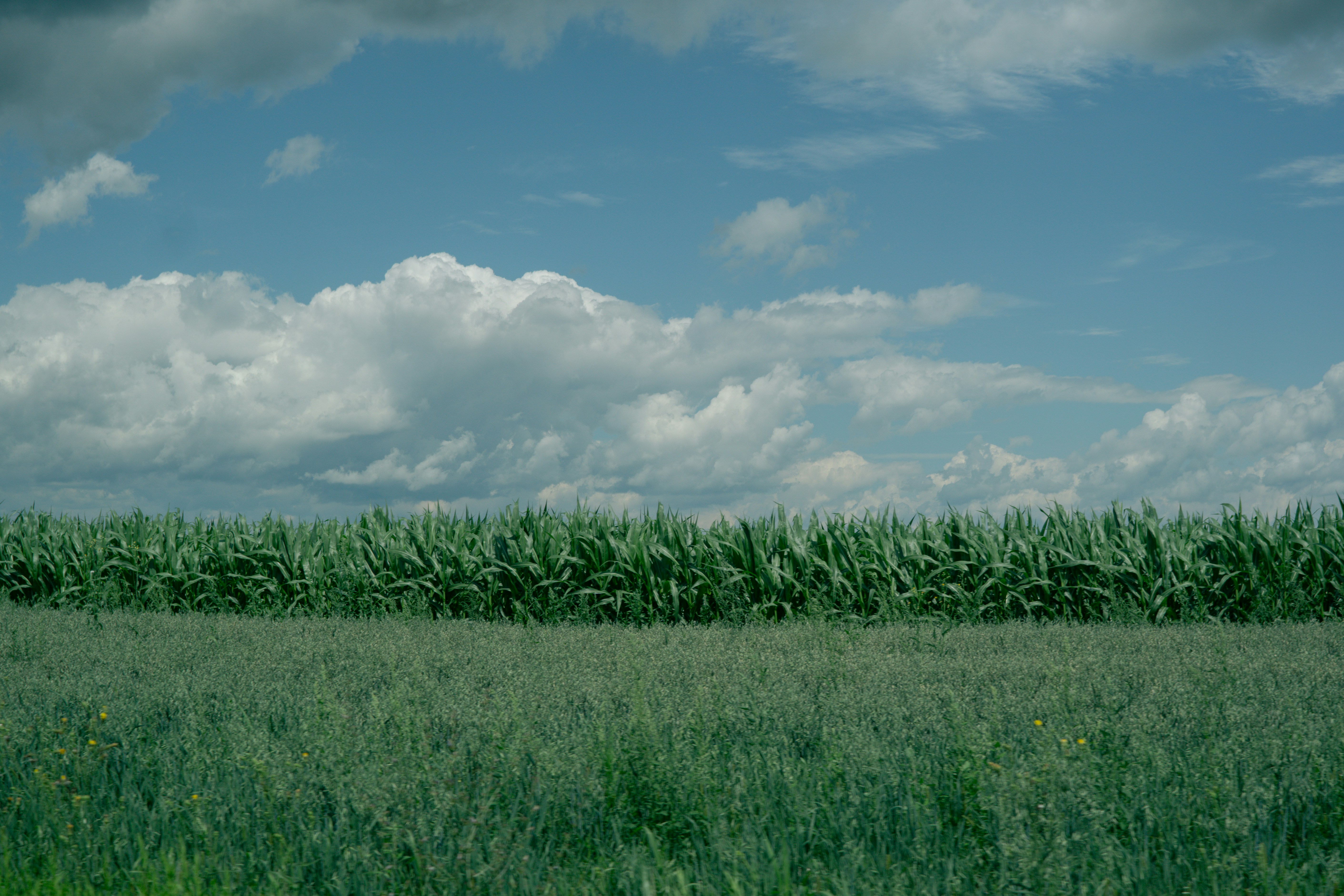 Photo by heythisisyulia