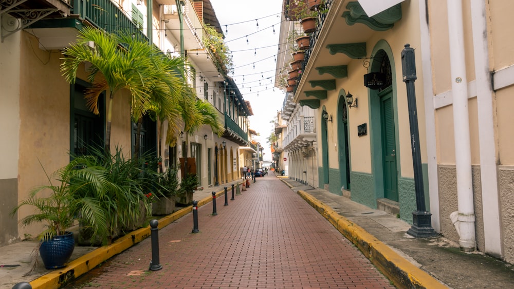 a narrow city street lined with buildings and palm trees