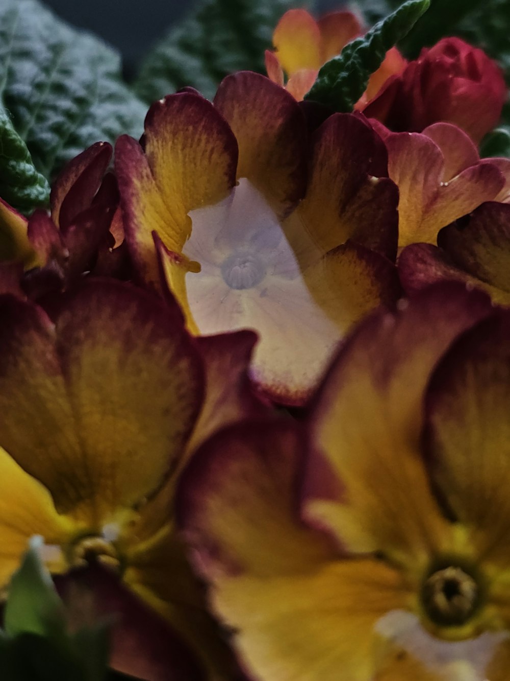 a bunch of flowers that are in a vase