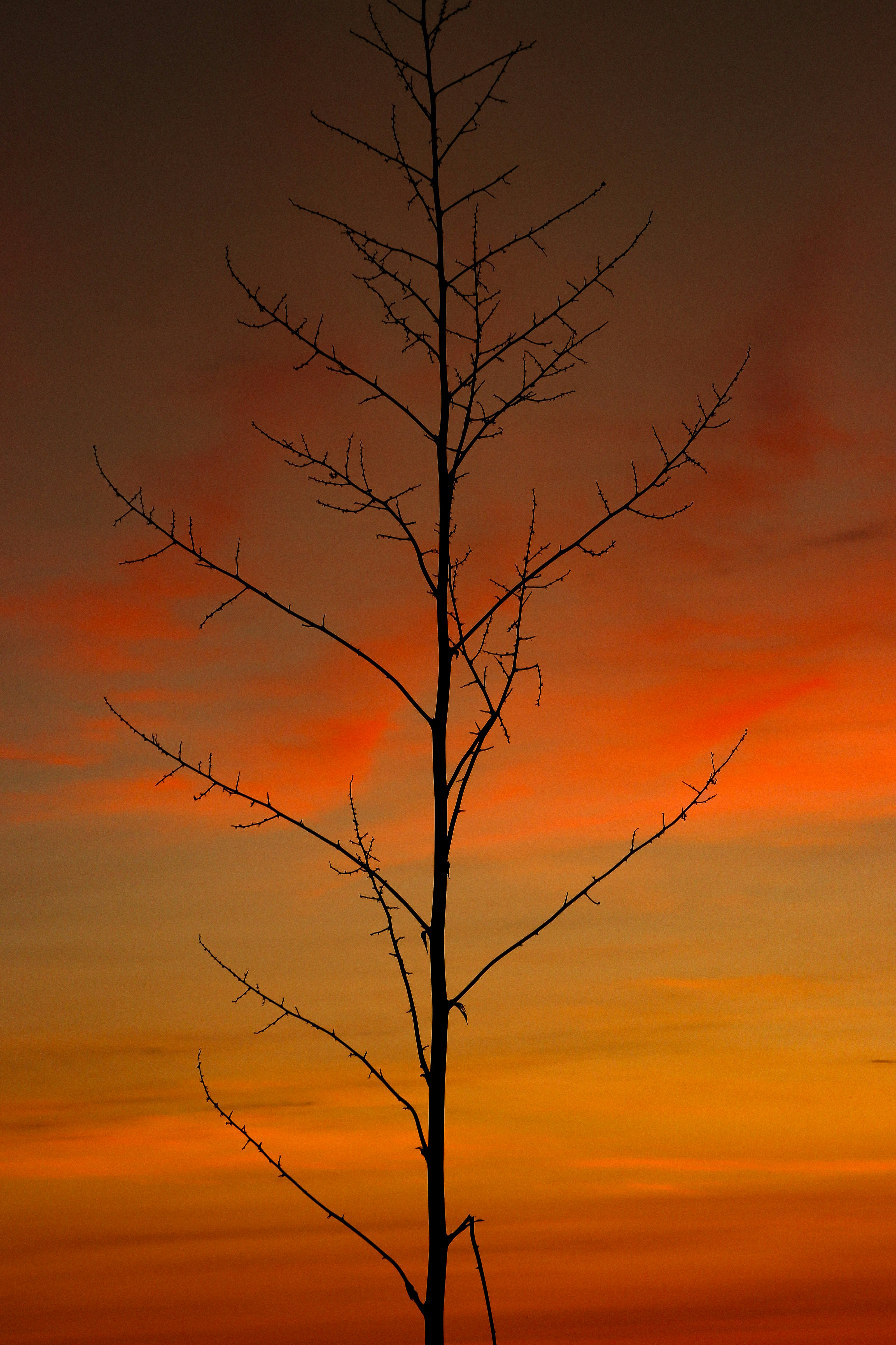 Photo by frandphotos