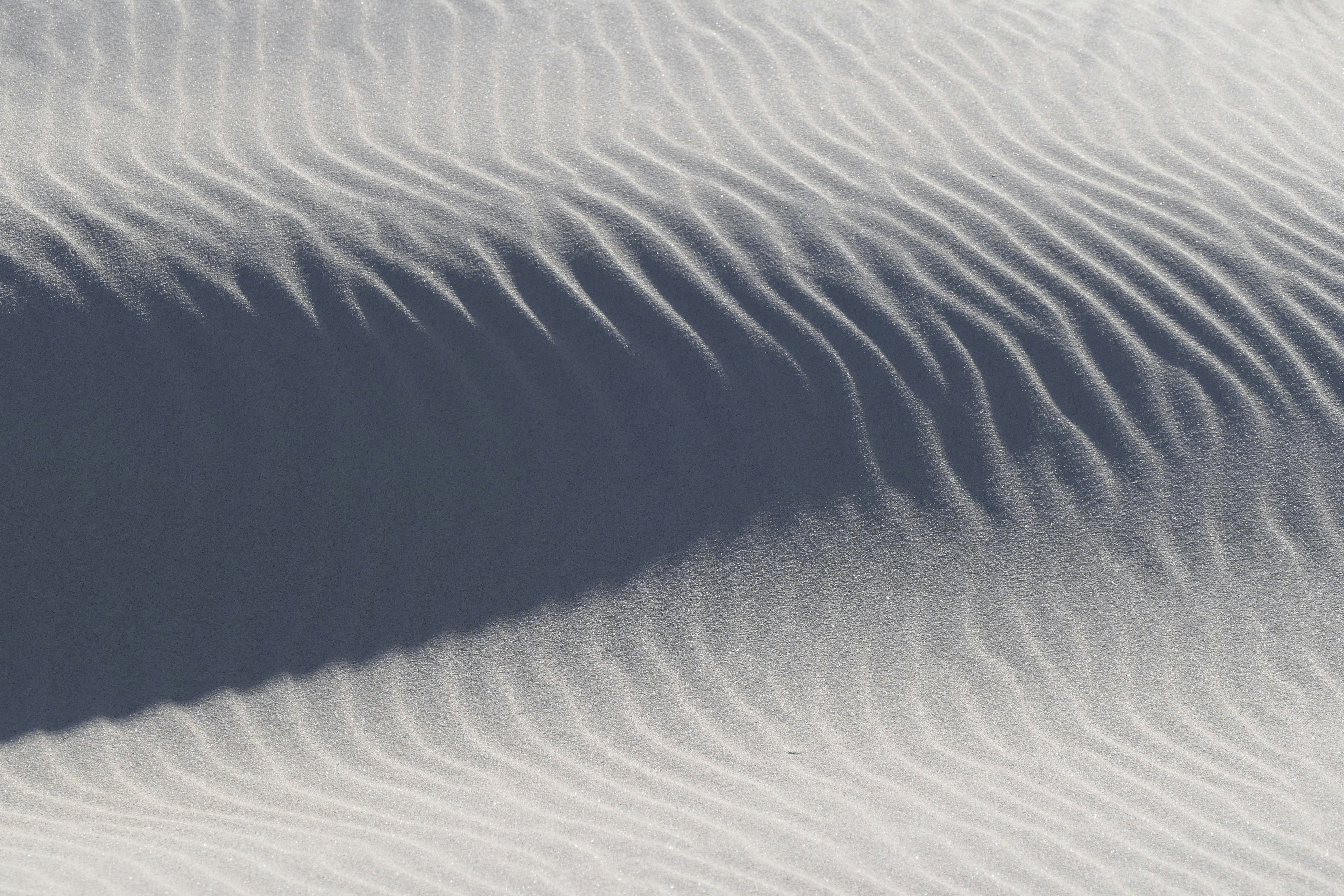 Photo by michaela_st