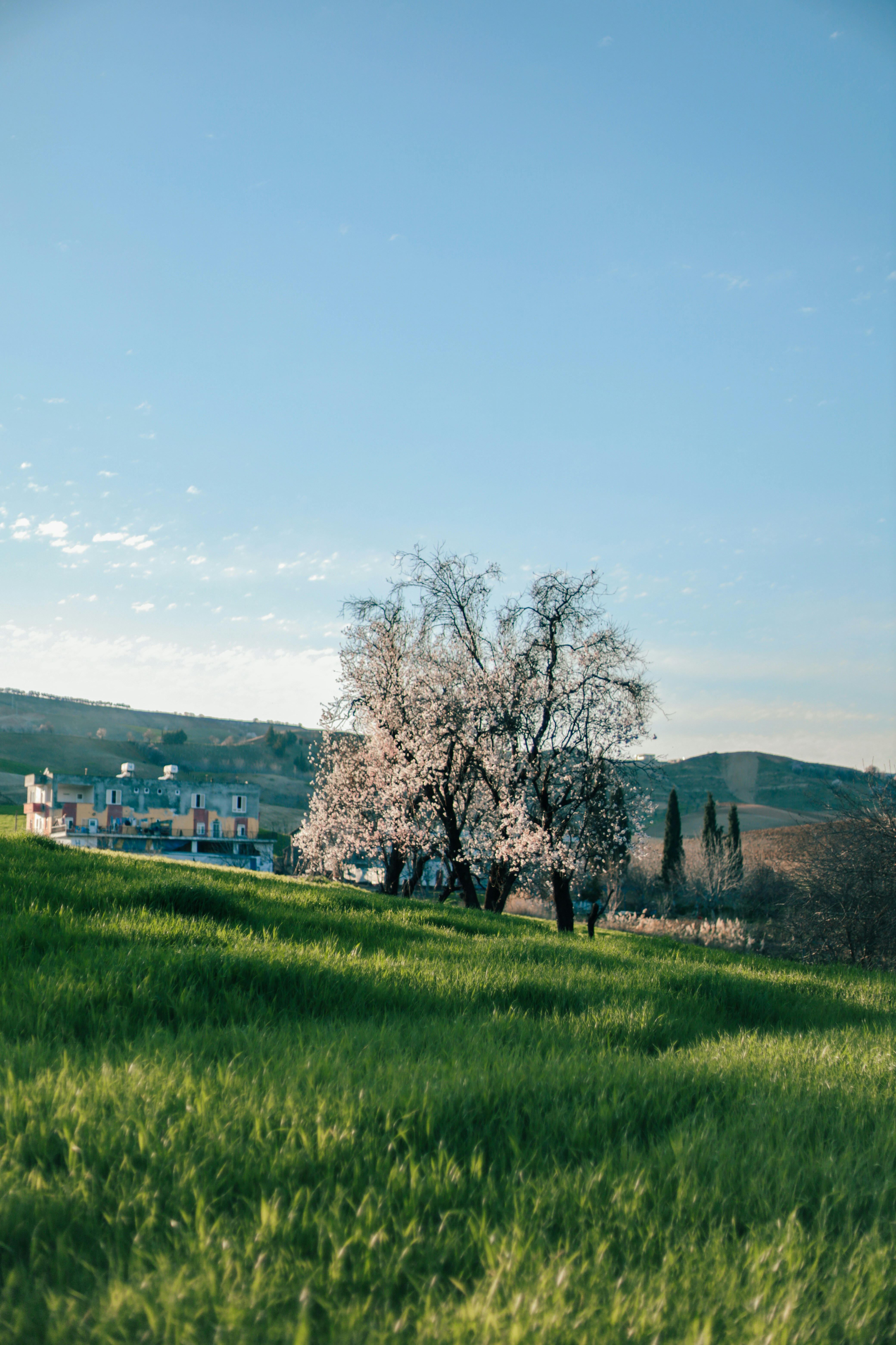Photo by sserhattug