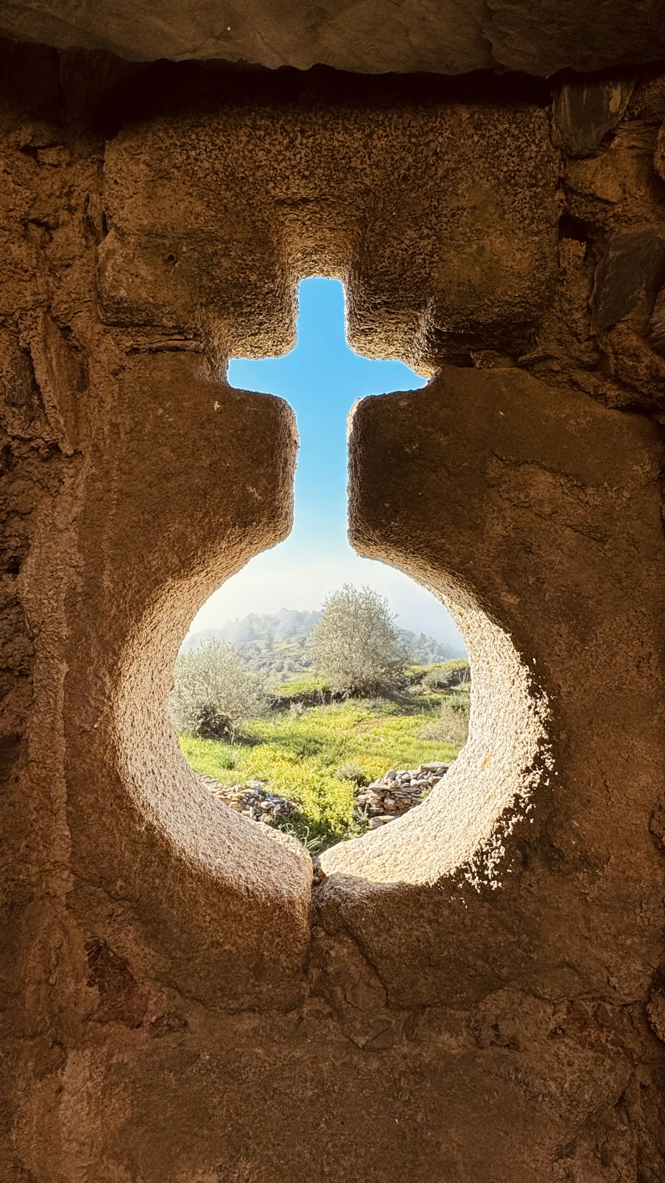 7 Kingdom Living Reflections for Renewed Faith Each Morning