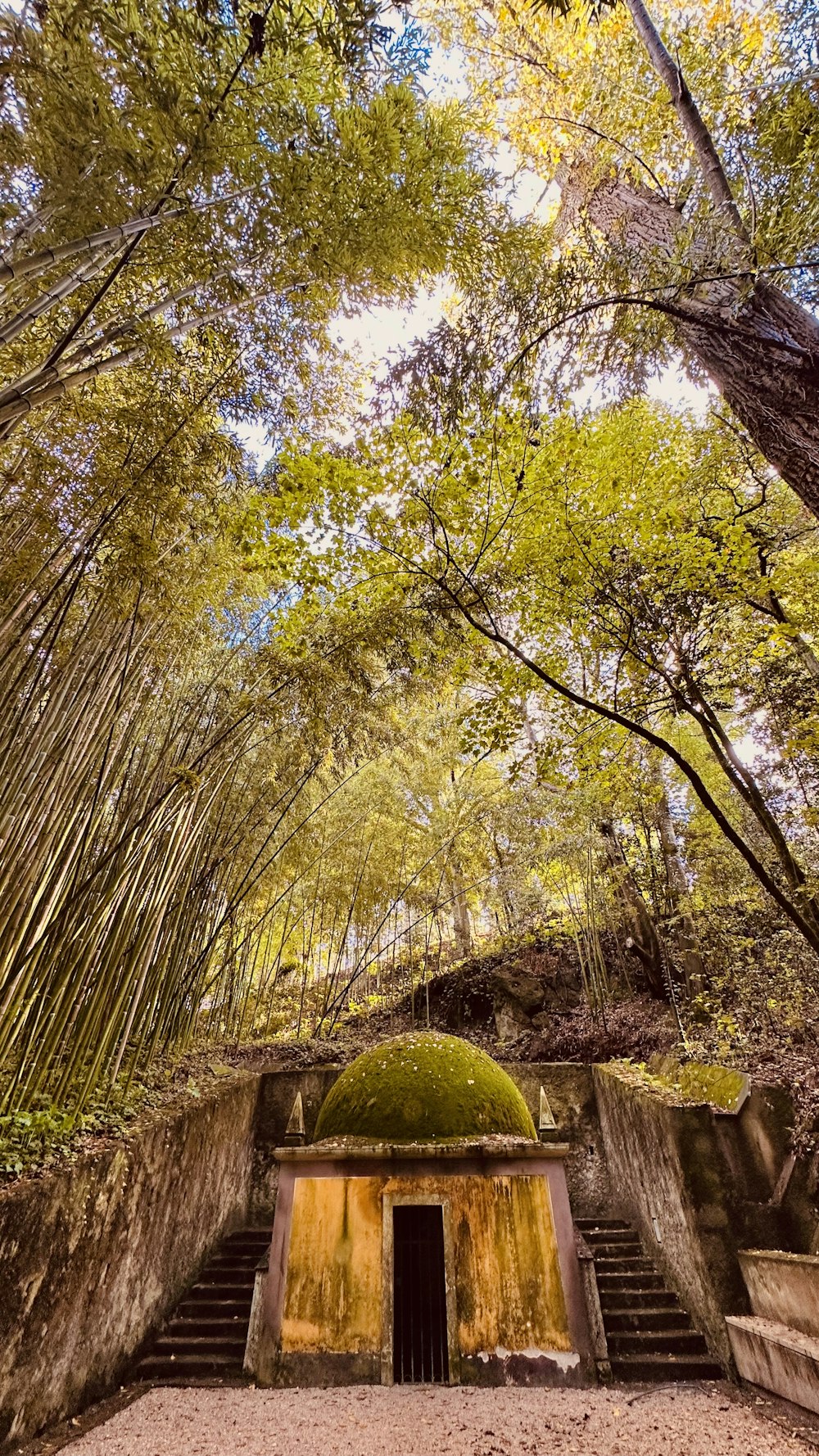 a stone structure with steps leading up to it surrounded by trees