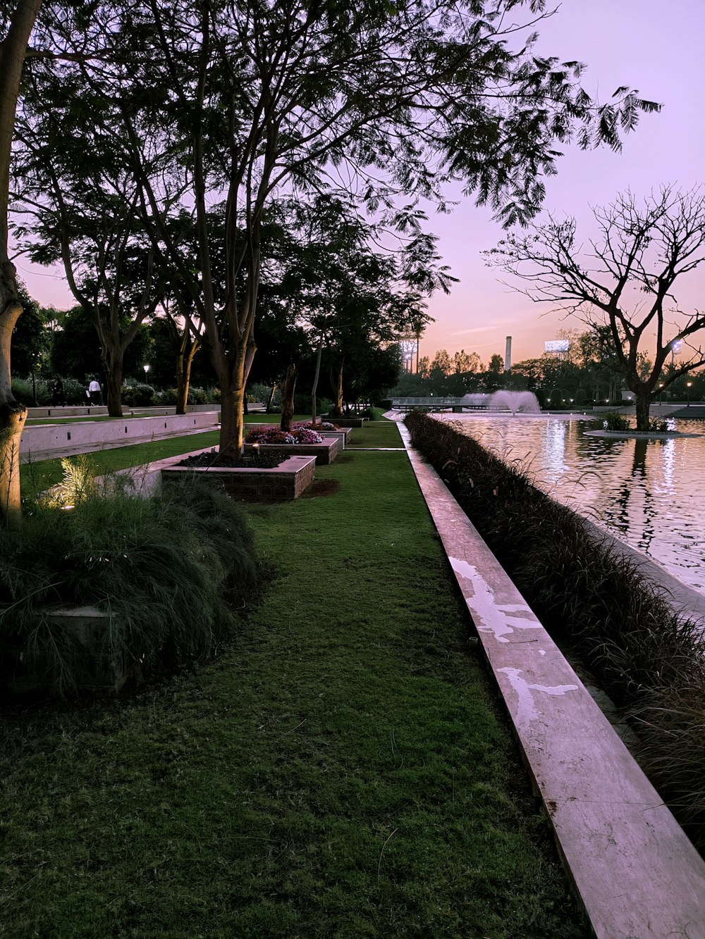 a grassy area with a pond and trees