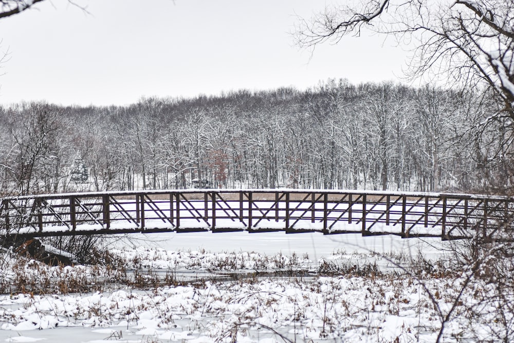 a wooden bridge over a frozen river in a forest
