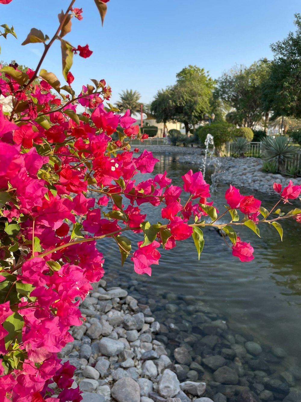 a bunch of flowers that are by a body of water