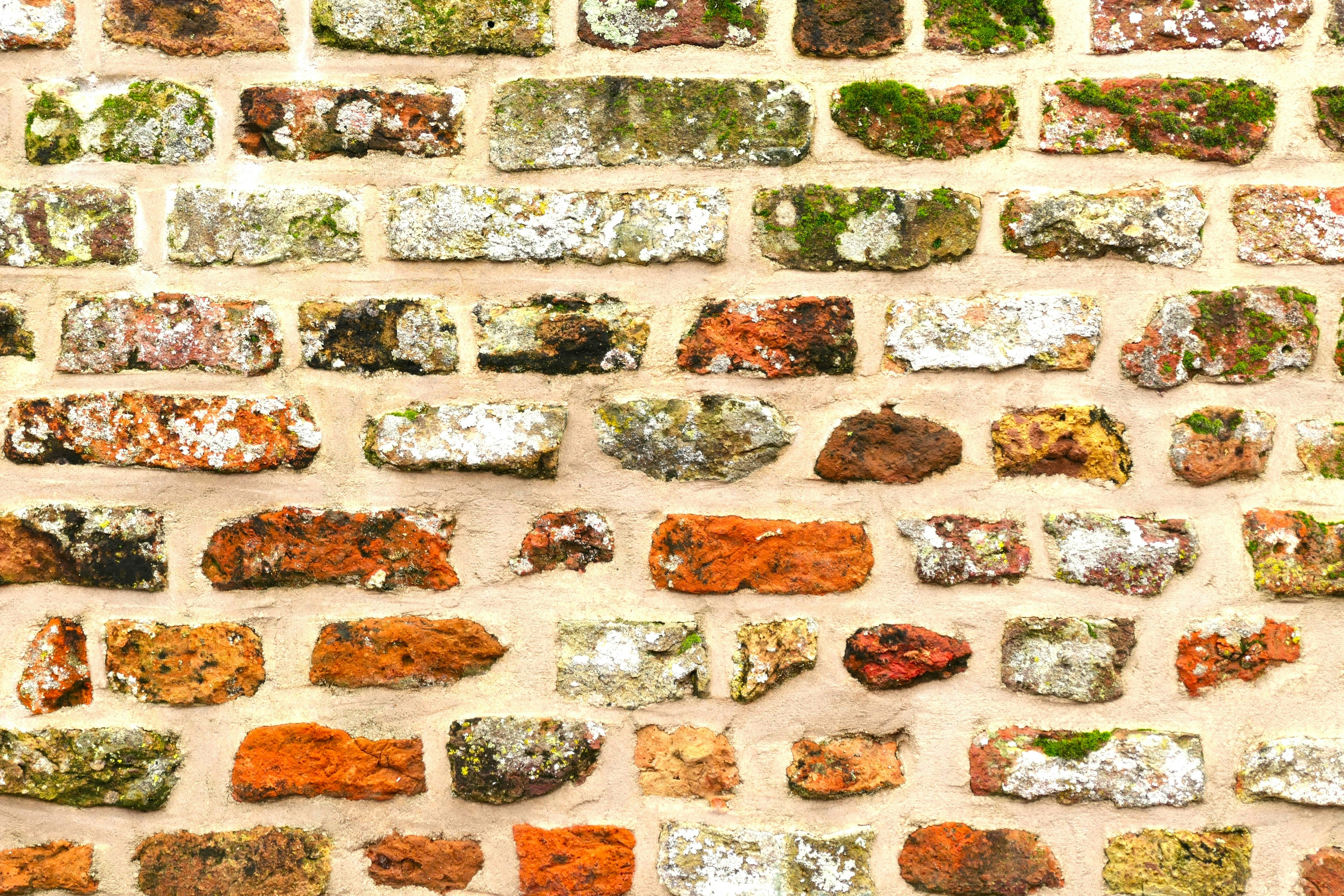 food kebab wallpaper, wallpaper, Kalori Kebab: Hitungan, Fakta Gizi, dan Tips Sehat 5