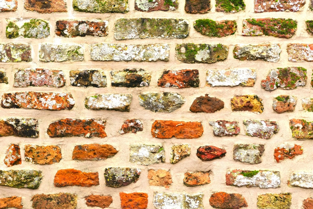a close up of a brick wall with moss growing on it