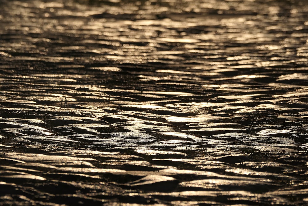 a close up of a wet surface with water droplets