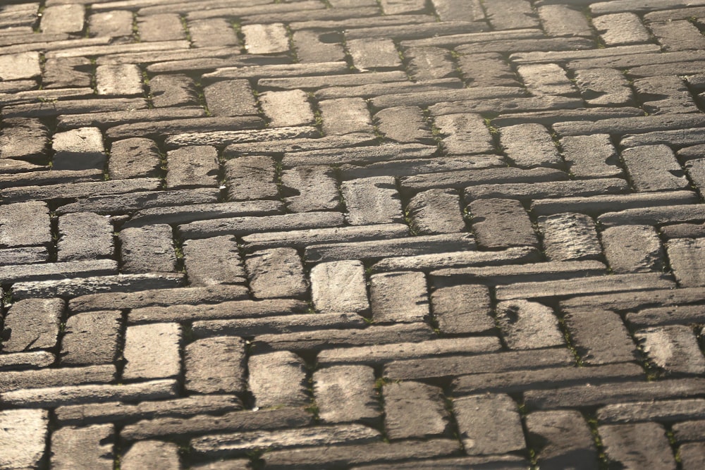 a black and white cat laying on a brick road