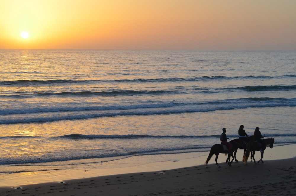 two people riding horses on the beach at sunset