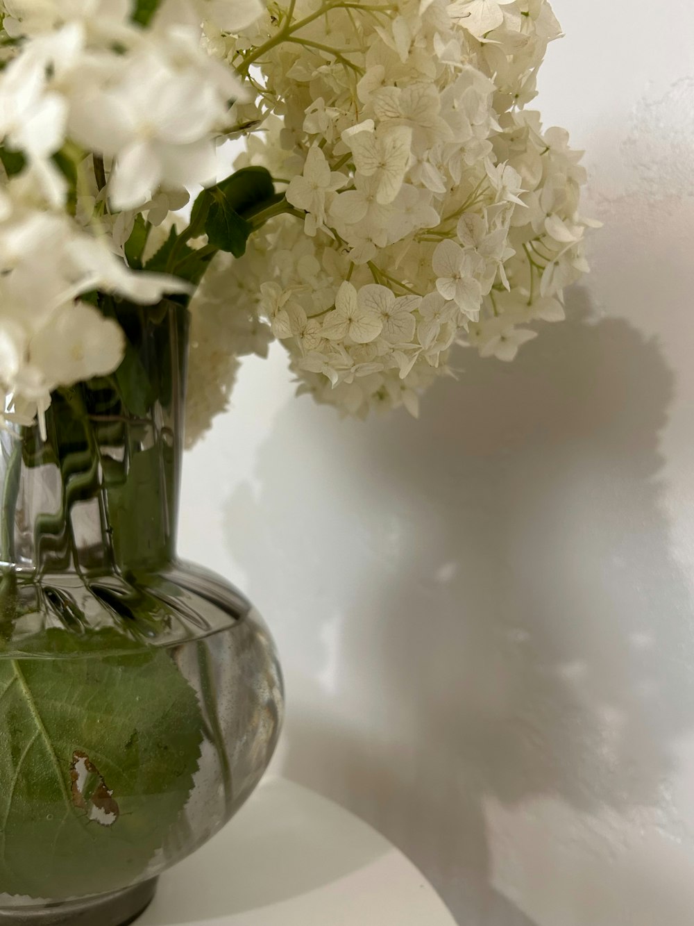 a vase filled with white flowers on top of a table