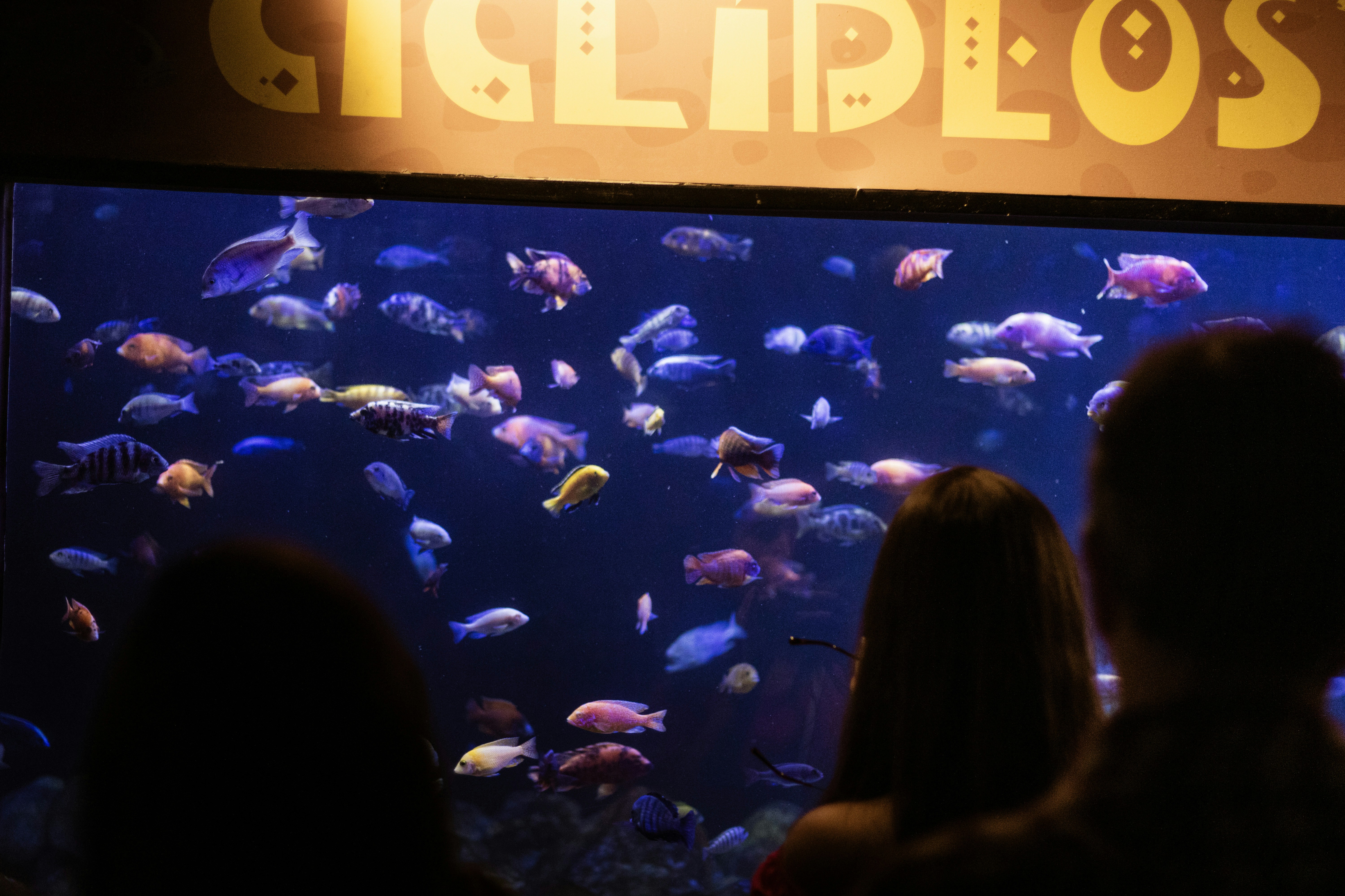 Photo by alvaro_juliao7