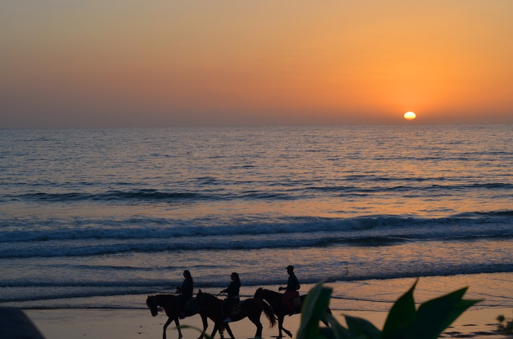 three people riding horses on the beach at sunset