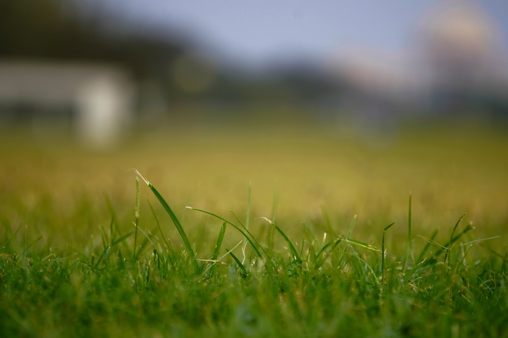 a blurry photo of a grassy field with a house in the background