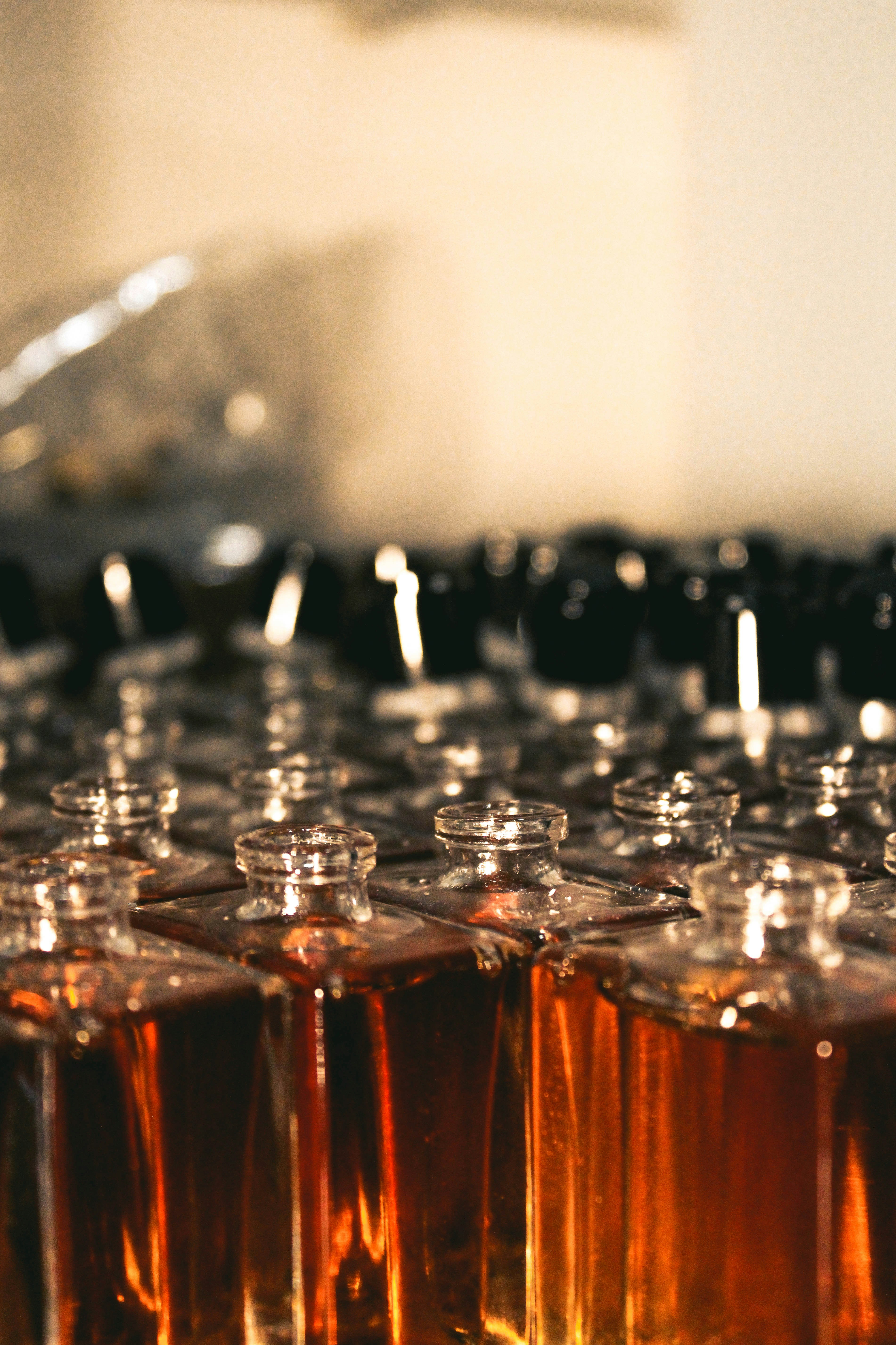 woman holding dried flower