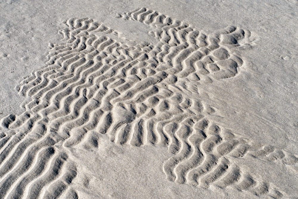 a pattern in the sand on a beach