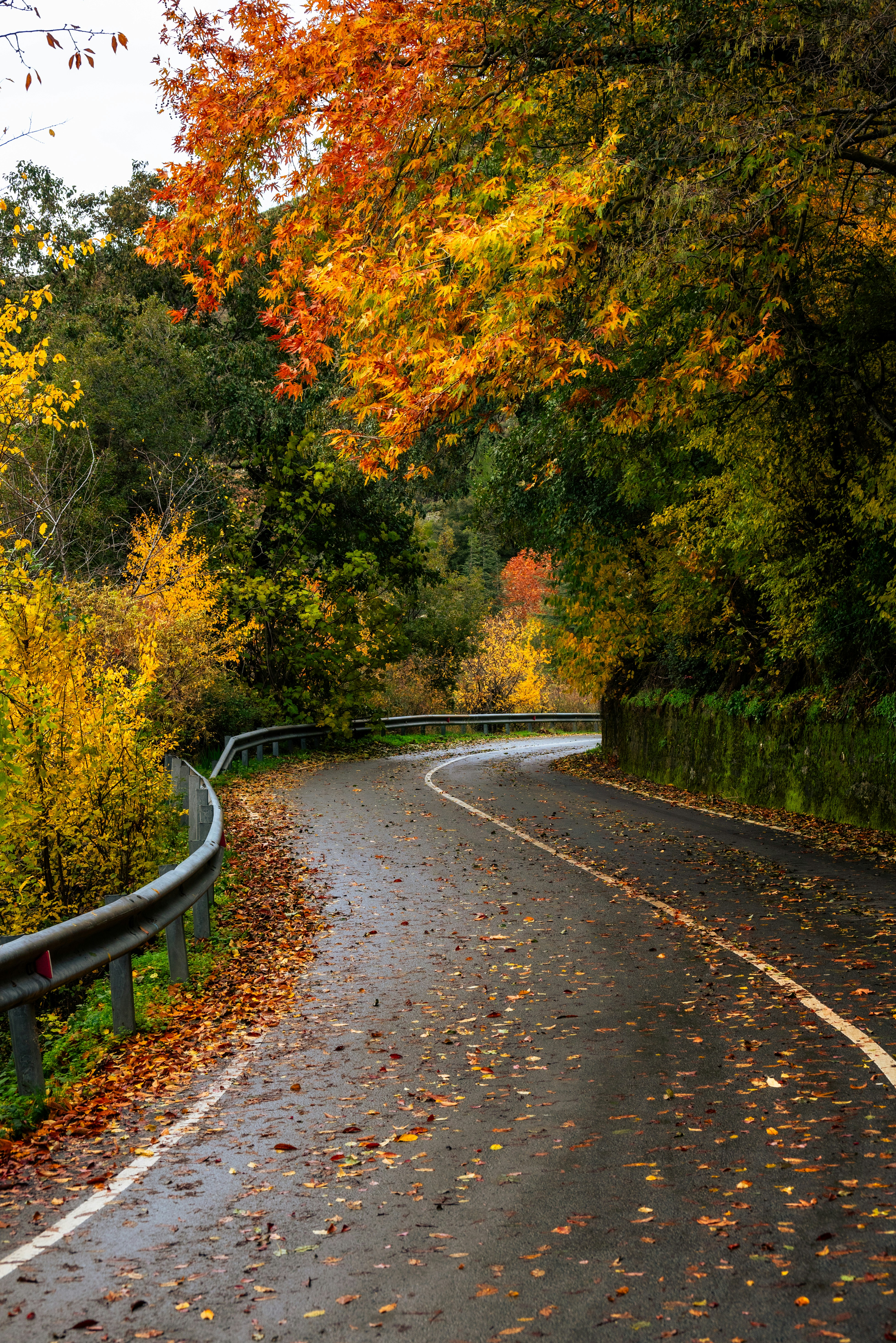 added a unique twist to -Moo Deang