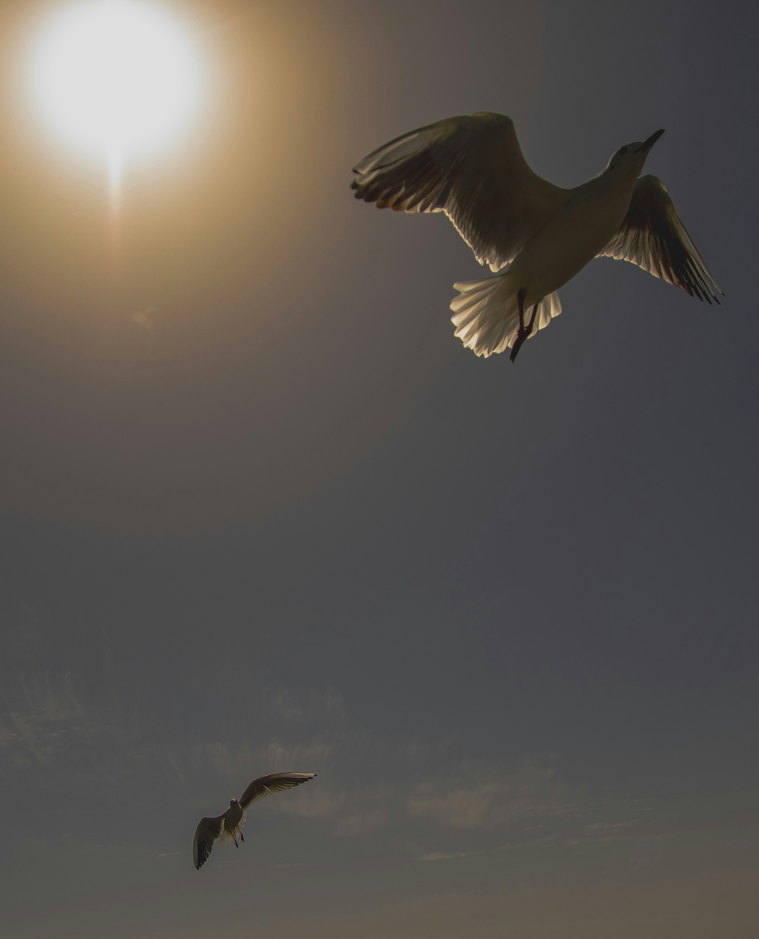 Photo by starkie_pics